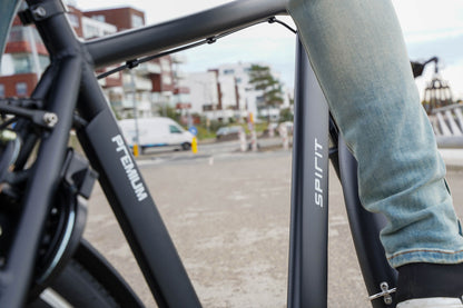 Spirit Premium D7 Elektrische Herenfiets Mat-zwart