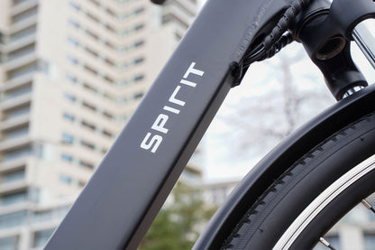 Spirit Premium D7 Elektrische Herenfiets Mat-zwart